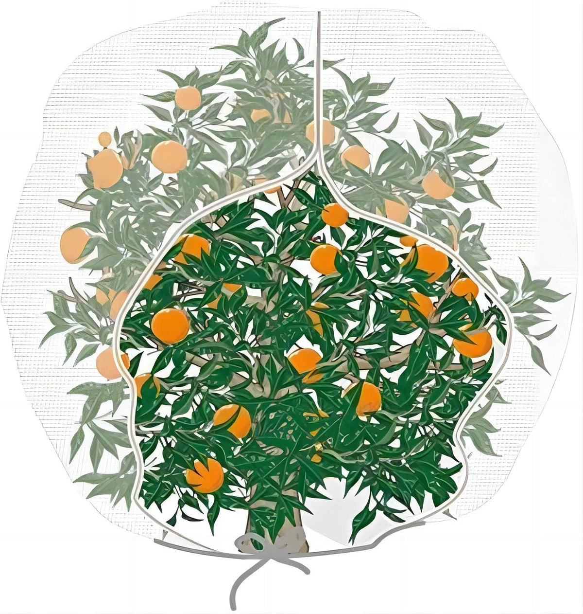 agfabric bird netting 120" hx120 w garden netting, main product view