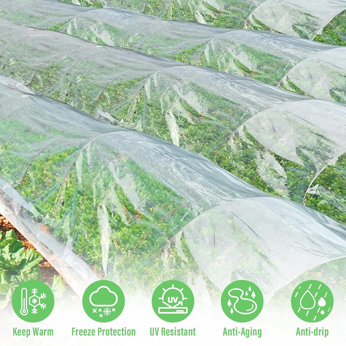 legigo 10 x 30 ft clear greenhouse plastic, close-up detail