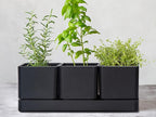 D'vine Dev Herb Garden Planter Set, Plastic Plant Pots with Drainage and Saucer, Indoor Succulent Cactus Vegetable Pot for Windowsill, Garden Balcony, Black, Set of 2, 76-V-B-2