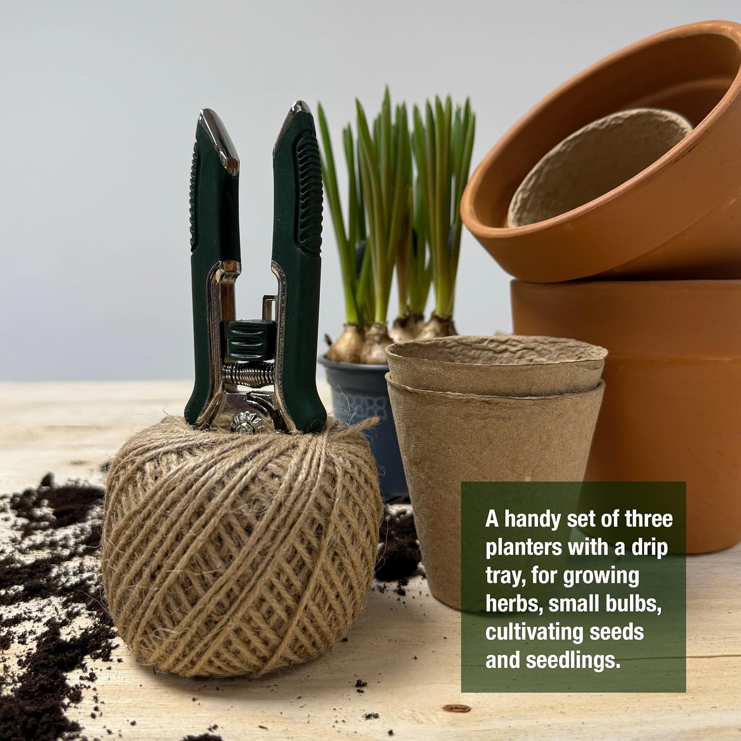Spear & Jackson Kew Gardens Urban Oasis Collection CUTTINGSET19K Snips & Twine Set - Essential Pruners and 100m Natural Garden Twine