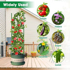 3 Pack Tomato Cages, 51.2in Tomato Plant Support Stakes Heavy-Duty, Garden Tomato Cages & Trellis for Climbing Vegetables, Tomatoes, Peppers, and Potted Plants(3)
