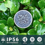 SOLPEX Solar Garden Lights Outdoor, 6 Color 12 Pack Stainless Steel Led Pathway Lights,Halloween/Christmas Solar Decorative，Christmas Decor for Patio, Lawn, Yard,Landscape and Walkway