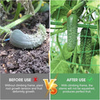 55" H x 36" W Cucumber Trellis for Raised Bed Garden, Cucumber Trelli for Climbing Plants Outdoor，A-Frame Vegetable Grow Supports, Tomato Plant Support for Tomato Squash Zucchini (1PC)
