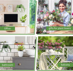 yungyan 20 sets 5" self watering hanging planter on a desk or shelf