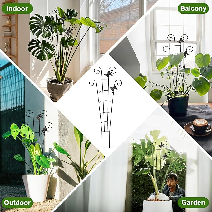 COOMIN 30'' Monstera Plant Support Outdoor, Metal Expandable Plant Supports for Indoor Plants, 2P Garden Trellis for Climbing Plants Indoor - Ivy, Pothos, Philodendron, Hoya