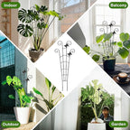 COOMIN 30'' Monstera Plant Support Outdoor, Metal Expandable Plant Supports for Indoor Plants, 2P Garden Trellis for Climbing Plants Indoor - Ivy, Pothos, Philodendron, Hoya