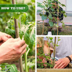 25pcs 1/2" D Thicker Heavy Duty Bamboo Stakes, 4.75FT Plant Stakes, Natural Garden Stakes for Tomato, Bean, Flowers,Trees Potted and Climbing Plant Support