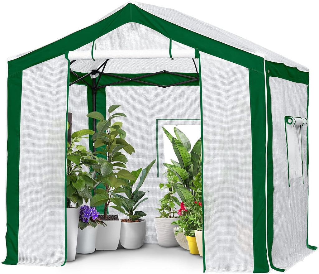 eagle peak 8x8 portable walk-in greenhouse, pop-up indoor, main product view