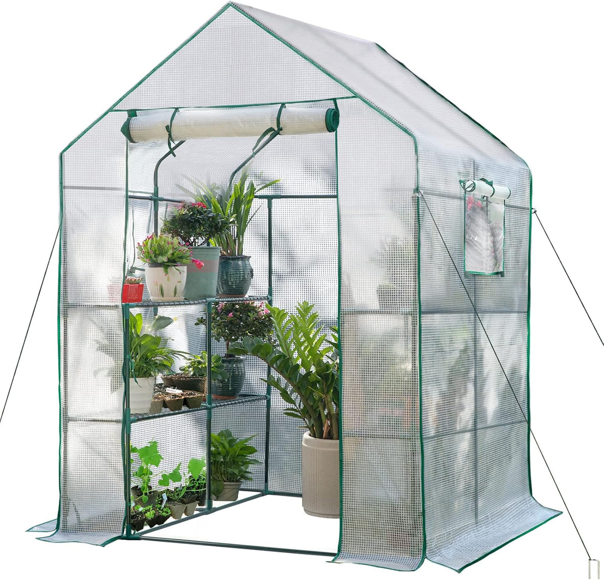 56x56x78 large walk-in greenhouse for outdoors, plant house, main product view