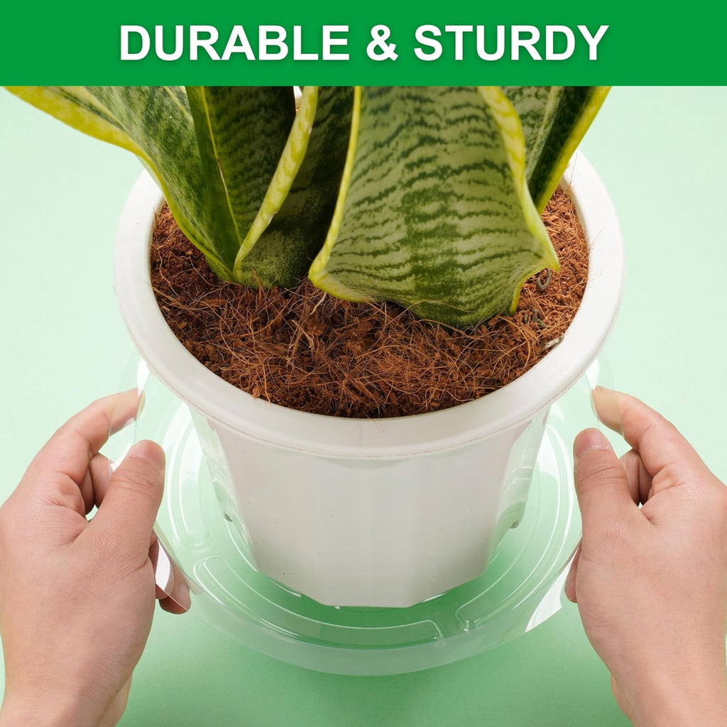 CATIFLIN 24 Pack Clear Plant Saucers - 6, 8, 10, 12 Inch Plastic Plant Trays for Pots, Flower Pot Saucers, Indoor & Outdoor Planter Drip Tray for Water Drainage & Protection