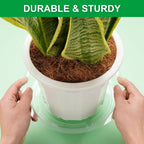 CATIFLIN 24 Pack Clear Plant Saucers - 6, 8, 10, 12 Inch Plastic Plant Trays for Pots, Flower Pot Saucers, Indoor & Outdoor Planter Drip Tray for Water Drainage & Protection