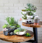The HC Companies 6 Inch Round Plastic Succulent Capri Bowl 6"x6"x2.25" in Artisan Taupe with Copper Bottom Color
