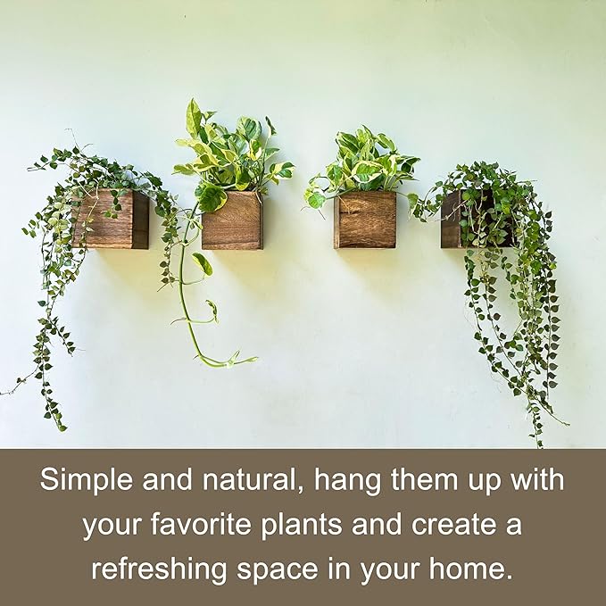 LaLaGreen Indoor Planter Box for Plants (4x4 Inch, 12 Pack) Small Square Wooden Wall Mounted Planters Wood Window Boxes Hanging Flower Pot Plant Holder Outdoor Herb Modern Vertical Garden Home Decor