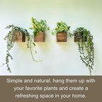 LaLaGreen Wood Planter Boxes (4x4 Inch, 4 Pack) Small Square Wooden Wall Mounted Flower Pot for Indoor Plants, Window Box Mount Hanging Herb Planters Outdoor Plant Holder Vertical Garden Home Decor