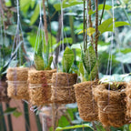 2 Rolls Coconut Fiber Liners for Planters 16x118 Natural Coco Coir Roll | Coco Fiber Pad for Hanging Flower Planters Baskets DIY Moss Pole Garden Decoration, Animal pet pad, Reptile Carpet, Snow Mat