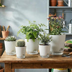 GARDIFE 2026 Upgraded Self Watering Plant Pots with Drainage Hole, 7/6.5/6/5.5/5/4 Inch Flower Planting Containers for House Plants, African Violet, Flowers, Cactus (White, 7+6.5+6+5.5+5+4 inch)