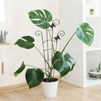30'' Larger Plant Trellis Indoor, Expandable Metal Trellis for Climbing Plants Indoor, House Plant Climbing Support for Monstera Hoya Pothos, 4P