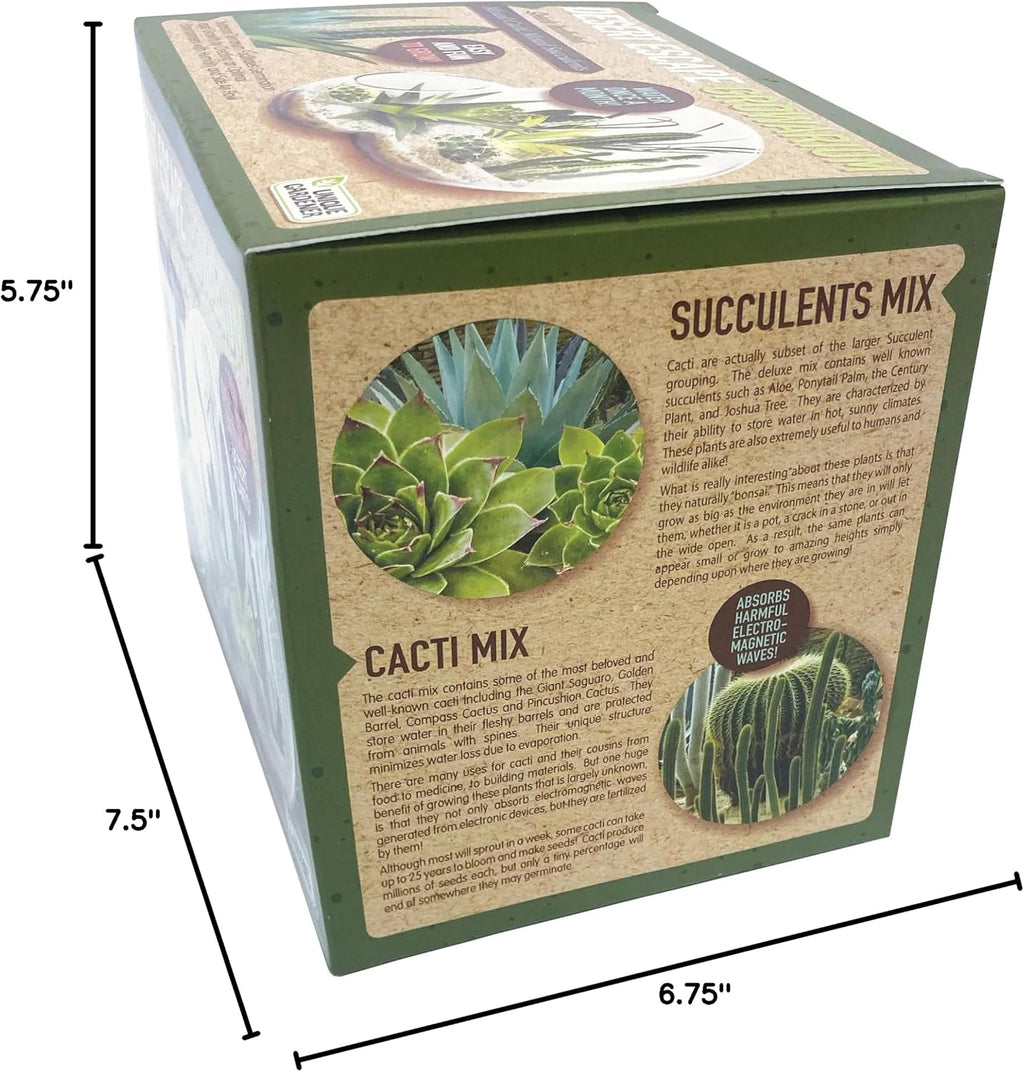 grow your own desert escape in a quality showing dimensions