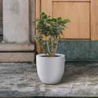 Kante 16.5" Dia Round Concrete Planter, Large Outdoor Modern Indoor Decorative Plant Pots with Drainage Hole and Rubber Plug for Home and Garden, Pure White