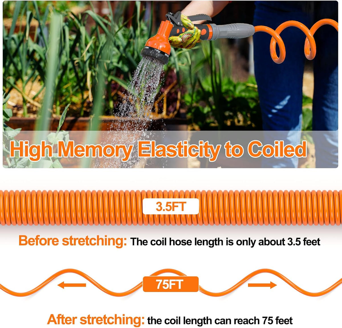 specilite 3/8" lightweight coil garden hose 75 ft shown in use