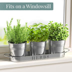 Barnyard Designs Indoor Herb Garden Planter Set with Tray, Metal Windowsill Plant Pots with Drainage for Outdoor or Indoor Plants, Set/3 (Galvanized)