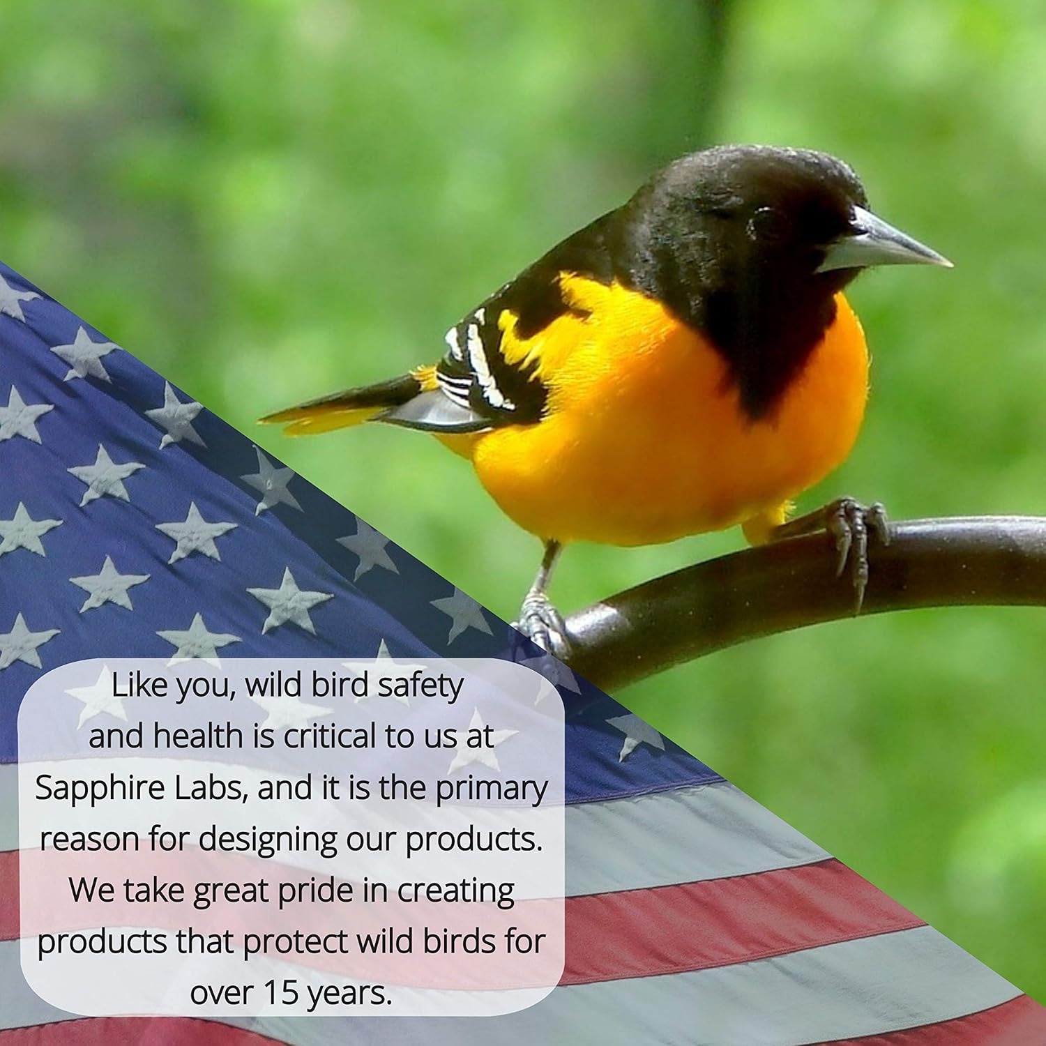 Nectar Defender Hummingbird Nectar Extender, Bird-Safe, Natural, 2-Pack | Bird-safe, Keeps nectar fresh, Reduces spoilage, Extends nectar up to 2 weeks, Dye-free, Protects 16 quarts, Made in USA