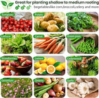 FRIZIONE 3pcs 4x2ft Galvanized Raised Garden Bed Outdoor,Above Ground Garden Bed for Vegetable,Metal Raised Beds for Flower,Steel Raised Beds for Gardening