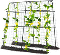 cucumber trellis for raised bed, 63" hx63 l, main product view