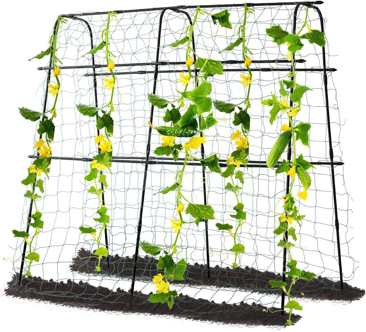 cucumber trellis for raised bed, 63" hx63 l, main product view