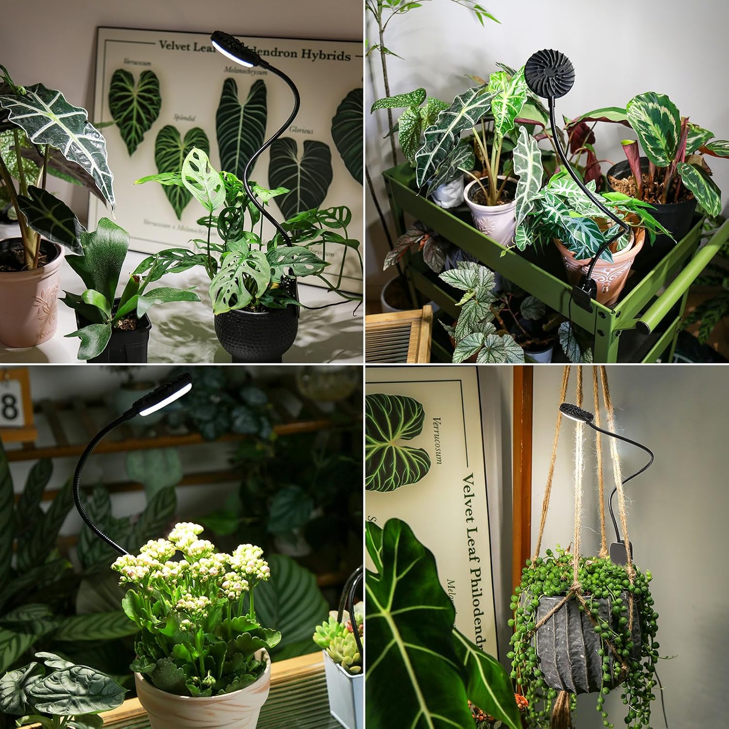 Small Grow Light for Indoor Plants, 12W Clip-On LED, Black | Flexible Gooseneck, 3/6/12H Timer, 4 Dimmable Levels for Desk or Windowsill