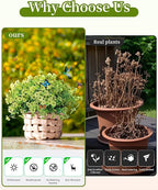 JAKY-Global Faux Artificial Plants Outdoor Flowers Spring Summer Decor 16 Bundles Fake Eucalyptus Silk Daisy UV Resistant Realistic for Outside Planters,Front Porch,Patio,Yard Pot Decoration