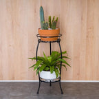 FaithLand 2 Pack Metal Plant Stands, Tall Planter Holder Indoor Outdoor, 2 Tier Round Potted Supports Rack, Corner Display Shelf Black