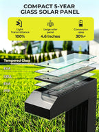 COXSENI Solar Pathway Lights Outdoor,3 Color Temperatures,20 LEDs,6 Pack | Clear Tempered Glass Solar Panel,IP65 Waterproof,Bright Led Landscape Lighting,Yard,Walkway,Driveway,Patio,Lawn,Auto On Off