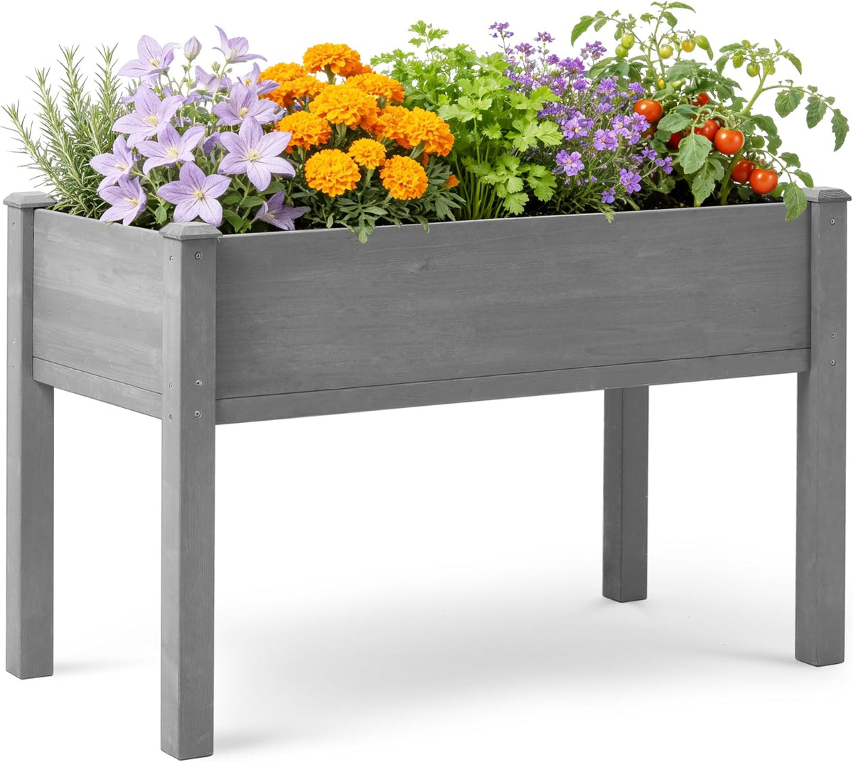 raised garden bed with legs, 48×24×30 cedar wood, main product view