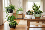 Hanging Planters, 3-Pack 10 Inch Self-Watering Pots with Drainage Holes and Chains, Matte Plastic Planters for Indoor/Outdoor Plant（White）