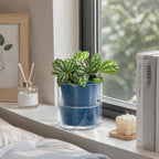 d'vine dev self-watering blue terracotta planter, 4 in, package contents