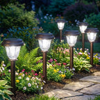 DERAYSION 8 Pack Solar Lights Outdoor Pathway, Stainless Steel Glass Solar Garden Lights, Auto On/Off Long-Lasting Waterproof Outdoor Solar Lights for Yard, Landscape, Path, Driveway, Walkway Décor