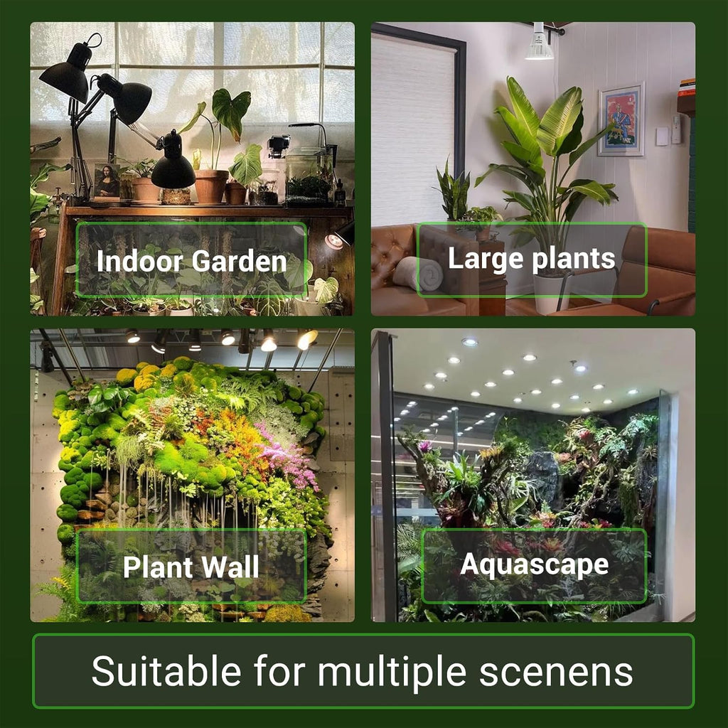 RDJ Bouns 26W LED Grow Light Bulb with Remote, PAR38, E26 Base | Dimmable, Full Spectrum Plant Bulb, Timer, Auto On/Off 4/8/12H, Natural White, For Indoor Plants, Succulents, Seeds