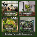 RDJ Bouns 26W LED Grow Light Bulb with Remote, PAR38, E26 Base | Dimmable, Full Spectrum Plant Bulb, Timer, Auto On/Off 4/8/12H, Natural White, For Indoor Plants, Succulents, Seeds