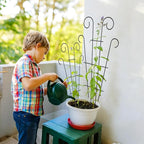 4 Pack 43'' Indoor Plant Trellis for Potted Plants Climbing, Outdoor Metal Garden Trellis Houseplants Flowers Vine Ivy, Wave Shape, Black