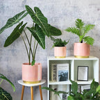 Gepege Pink Indoor Plant Pots for Plants, Large Ceramic Planter with Drainage Hole, 9.6-inch Succulent Orchid Flower Pot - Rainbow Pearl Glaze