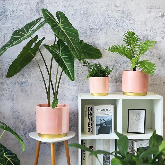 Gepege Pink Indoor Plant Pots for Plants, Large Ceramic Planter with Drainage Hole, 9.6-inch Succulent Orchid Flower Pot - Rainbow Pearl Glaze