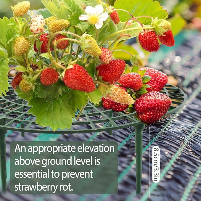 6 Sets Strawberry Plant Support with Mesh Plant Cover,Strawberry Growing Racks Sets with Iron Plant Nails and Storage Bag for Garden Strawberry Vegetables(Green Net - Round)