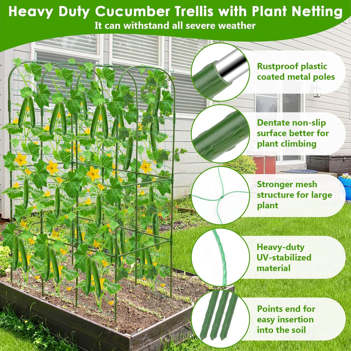 roadplum cucumber trellis for climbing plants with grow showing dimensions
