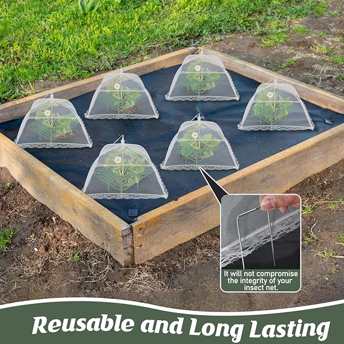 6 Sets Strawberry Plant Support with Mesh Plant Cover,Strawberry Growing Racks Sets with Iron Plant Nails and Storage Bag for Garden Strawberry Vegetables(White Net - Square)