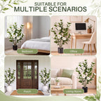 3ft 2-pack artificial camellia trees on a desk or shelf