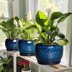 SQOWL 6 Inch Plant Pot - Ceramic Planter Pot with Drainage Hole and Saucer, Succulent Pot Round Flower Pot for Indoor Plants Outdoor, Blue