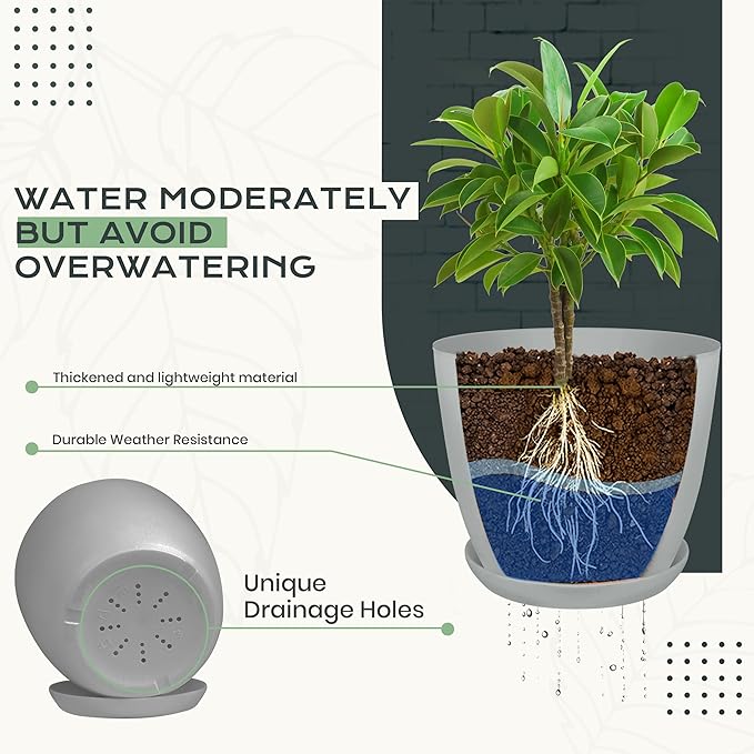 Utopia Home - Plant Pots Indoor with Drainage - 7/6.6/6/5.3/4.8 Inches Home Decor Flower Pots - Pack of 10 Plastic Planters for Indoor Plants, Cactus, Succulents Pot - Grey