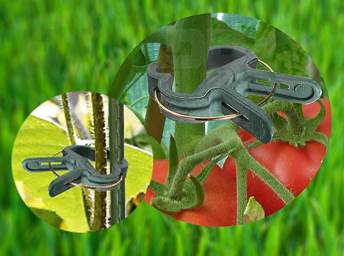 Plant Clips 40 Piece Green Gentle Gardening Plant & Flower Lever Loop Gripper Clips, Tool for Supporting or Straightening Plant Stems, Stalks, and Vines, Garden Clips, by RamPro