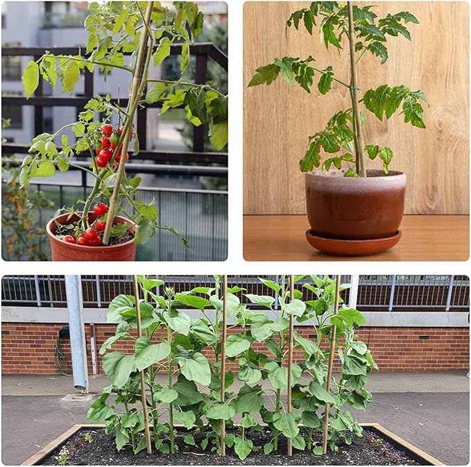 10pcs 1" D Thicker Heavy Duty Bamboo Stakes, 8FT Plant Stakes, Natural Garden Stakes for Tomato, Bean, Flowers,Trees Potted and Climbing Plant Support